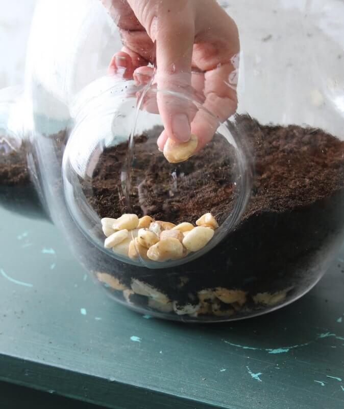 Local-Habitat-potting-ground-stones-Weltevree