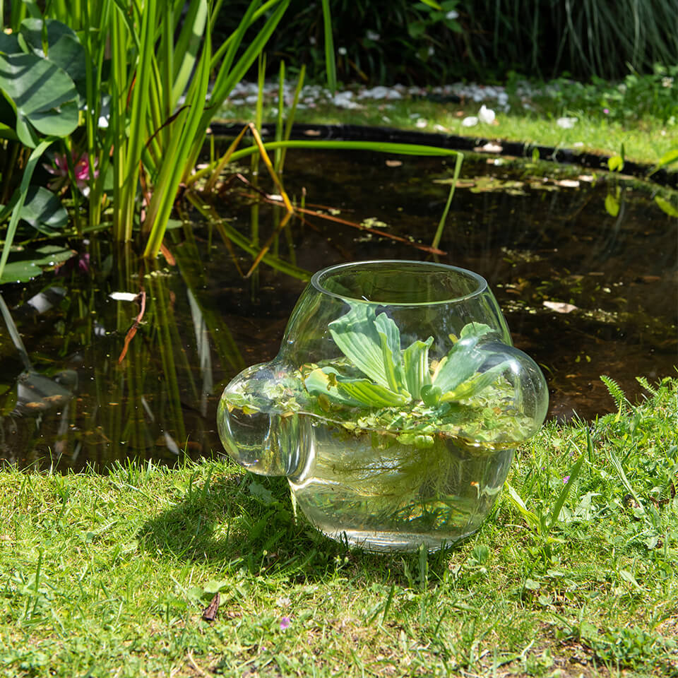 Weltevree-local-habitat-water-pond
