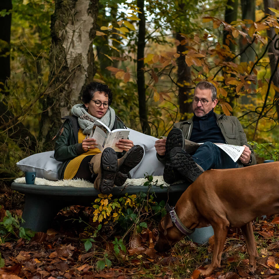 Weltevree-flying-dishman-lesen-wald