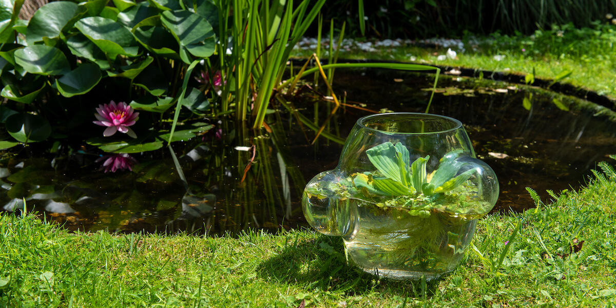 Weltevree-local-habitat-water-plant-pond