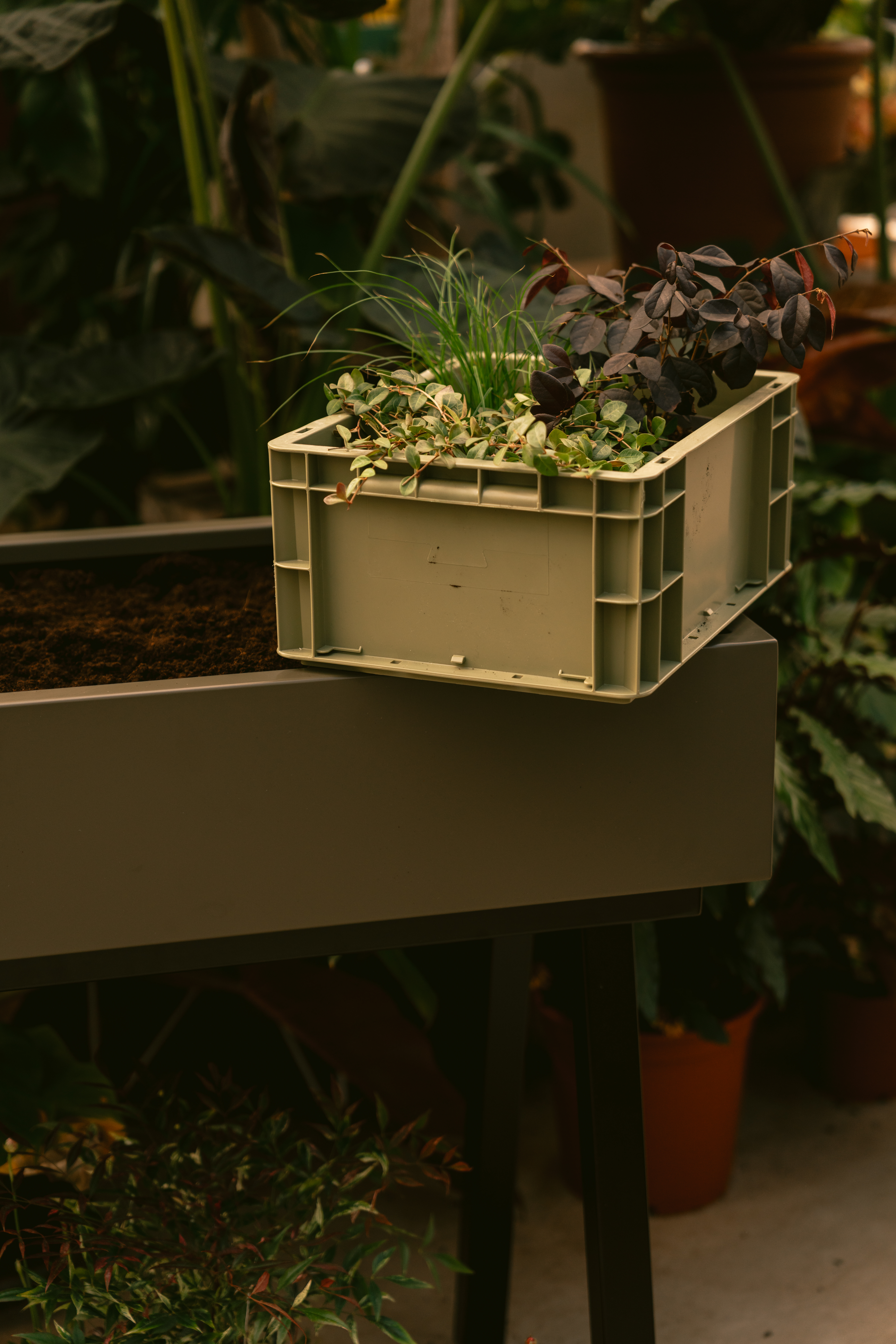 Gardenworks Crate