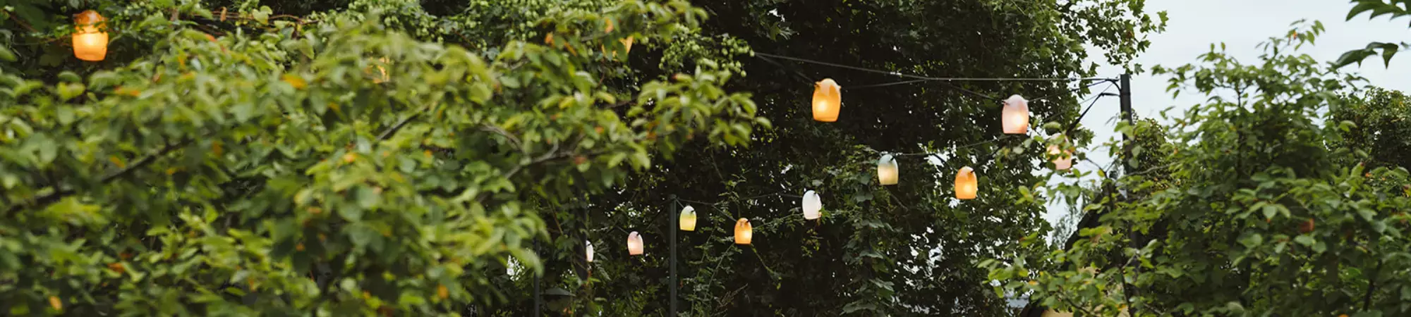 banner-gifting-stringlight
