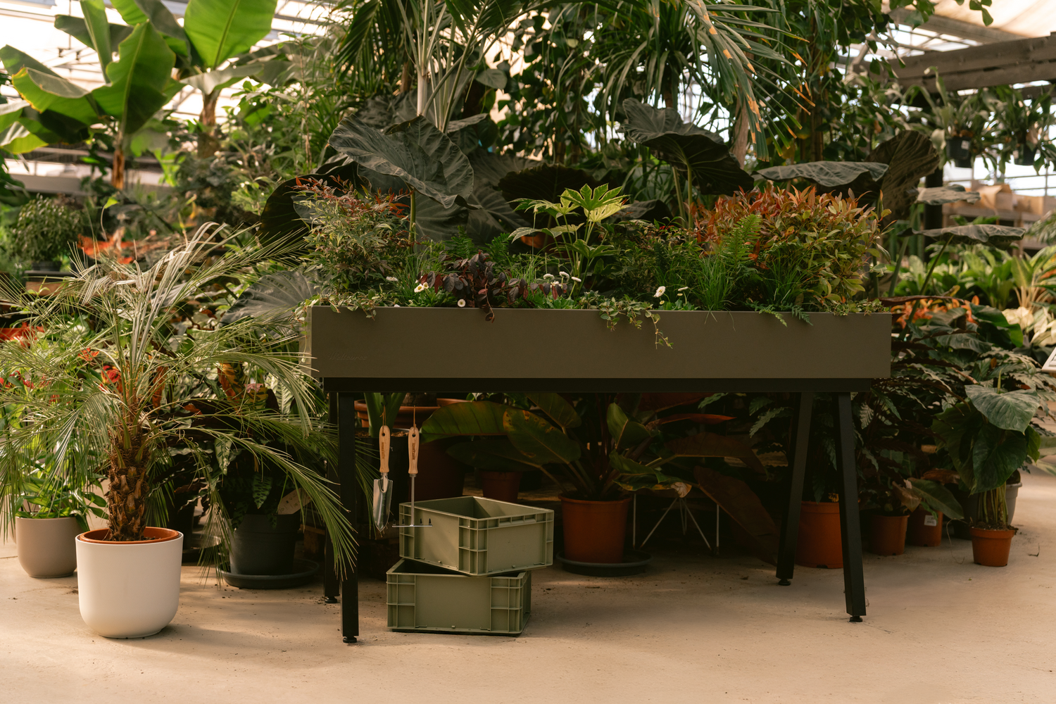 Chapitre 3. 'Conseils et informations supplémentaires' - Gardening tips by expert Floor Korte - Floor's Moestuin