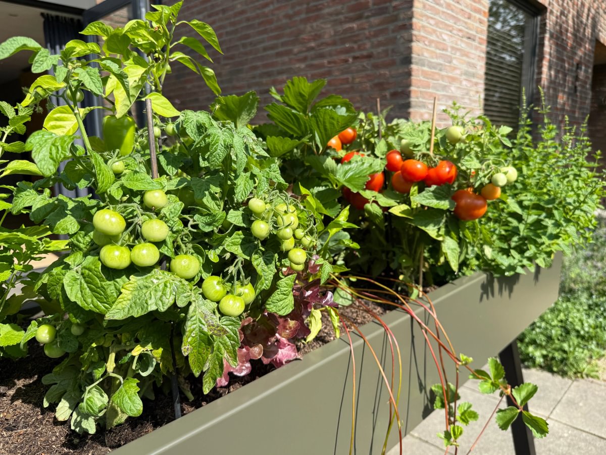 Gardenworks by Marcel Sloots