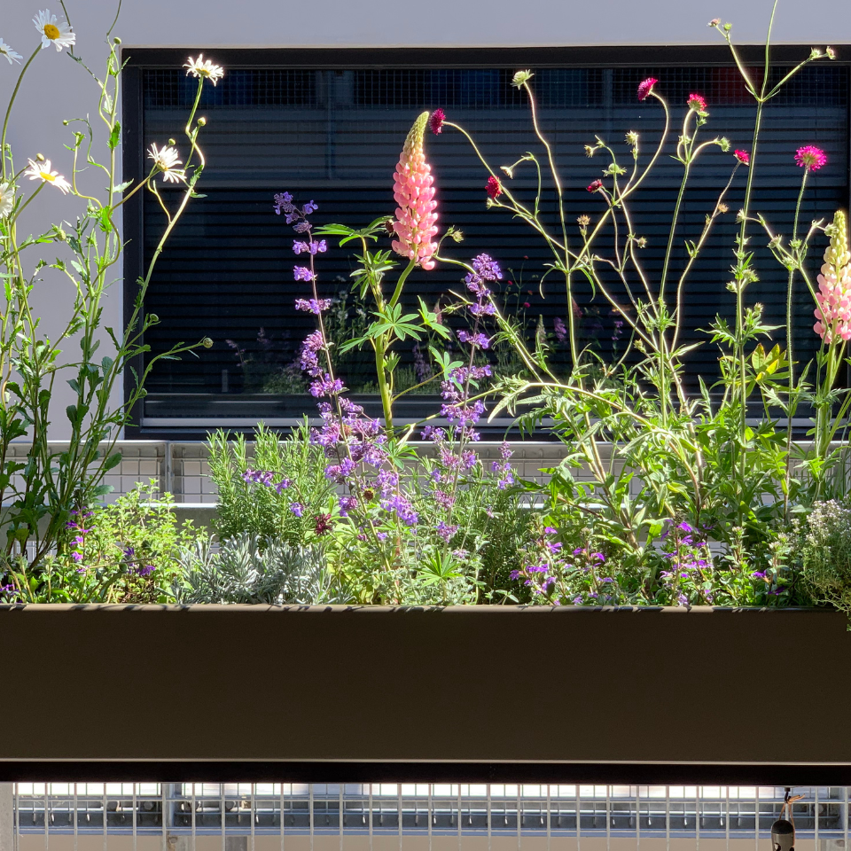 Gardenworks